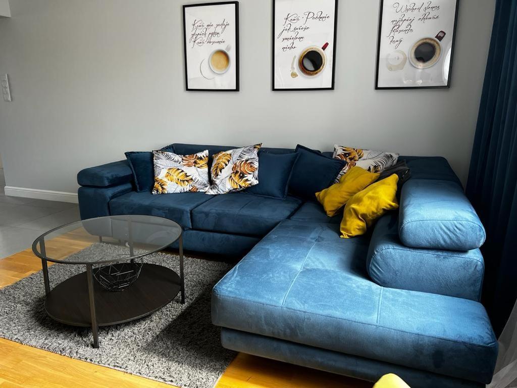 Family & Business Elegant Apartments Ul Astronautow Centrum Downtown - 3 Bedroom, Parking 키엘체 외부 사진