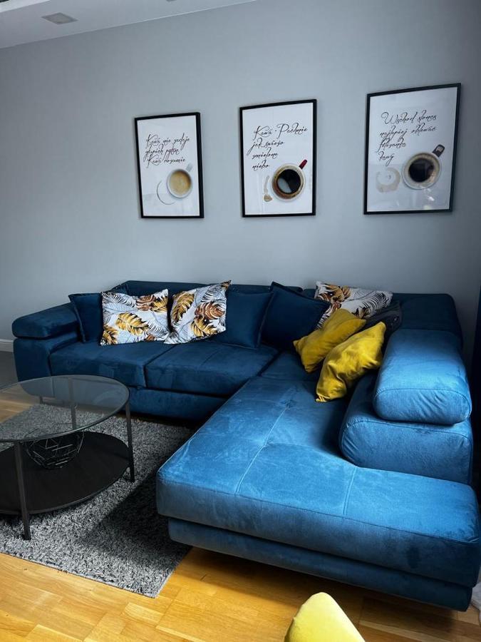 Family & Business Elegant Apartments Ul Astronautow Centrum Downtown - 3 Bedroom, Parking 키엘체 외부 사진